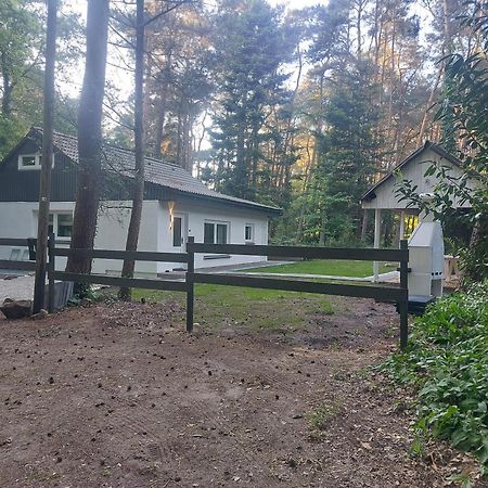 Huette An Der Aa Villa Emsbüren Buitenkant foto
